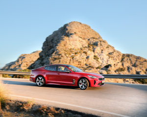 Kia Stinger Red Dynamic  (12)